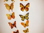 Красивые бабочки на магнитах. 12 штук.