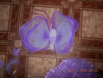 Неудачная  бабочка