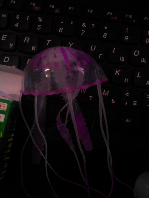 Рыбкина радость - подружка-медузка
